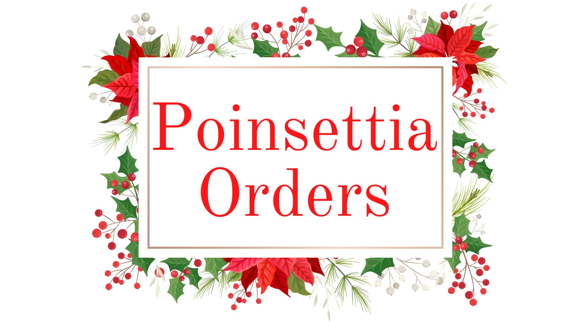 Poinsettia_Orders_Header_2.jpg